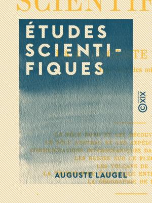 Cover of the book Études scientifiques by Albert Mérat