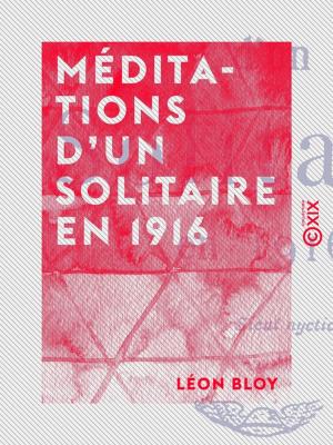 Cover of Méditations d'un solitaire en 1916