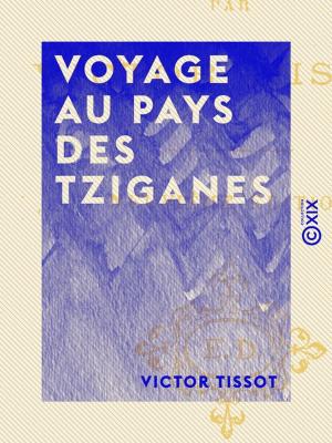 Book cover of Voyage au pays des Tziganes