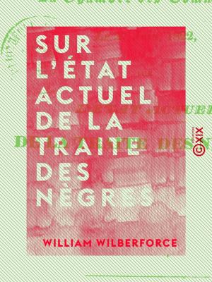 Cover of the book Sur l'état actuel de la traite des nègres by Philibert Audebrand