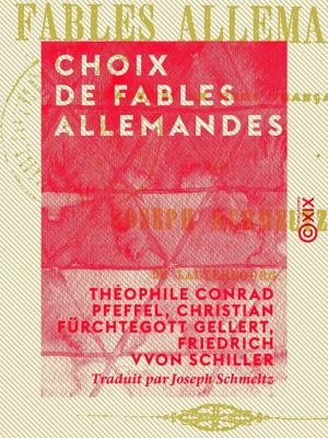 Cover of the book Choix de fables allemandes by Étienne-Jean Delécluze