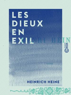 Book cover of Les Dieux en exil