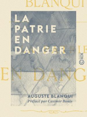 Cover of the book La Patrie en danger by Émile Amélineau