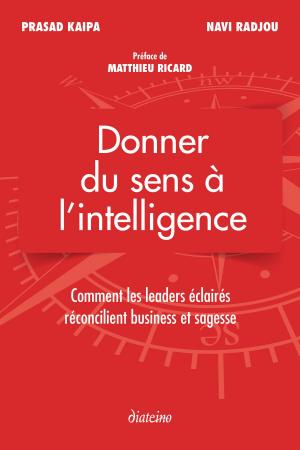 Cover of the book Donner du sens à l'intelligence by James Macanufo, Sunni Brown, Dave Gray