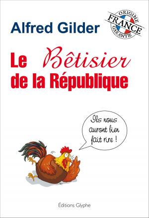 Cover of the book Le bêtisier de la République by Maurice Lecoeur