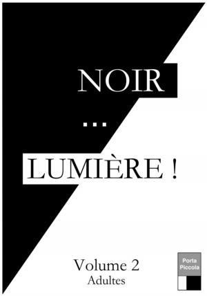 Cover of Noir... LUMIÈRE ! Volume 2