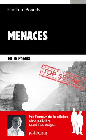Cover of the book Tel le Phénix by Hervé Huguen