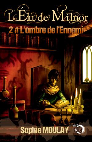 Book cover of L'ombre de l'Ennemi
