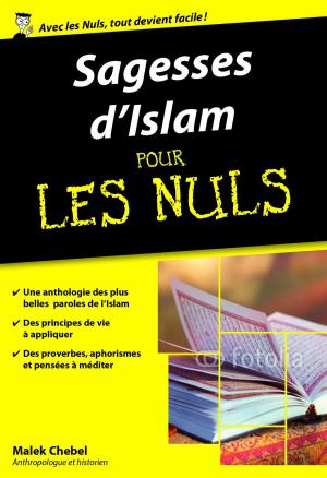Cover of the book Sagesses d'Islam pour les Nuls poche by Gérard de CORTANZE