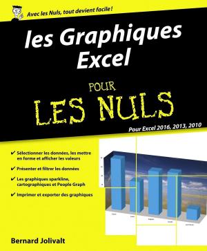Cover of the book Graphiques Excel 2010, 2013 et 2016 pour les Nuls by Richard SÉNÉJOUX, Amaury de ROCHEGONDE