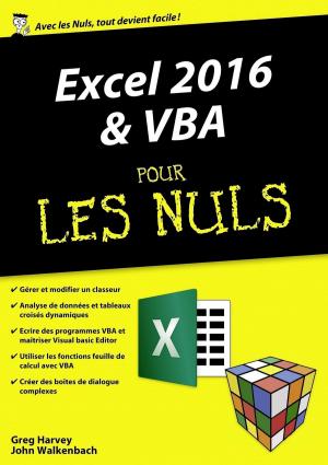 Book cover of Excel 2016 et VBA pour les Nuls mégapoche