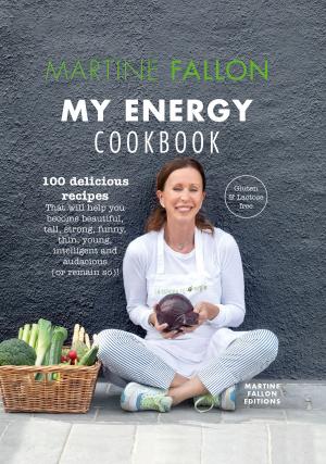 Cover of the book My Energy Cookbook by Marc David
