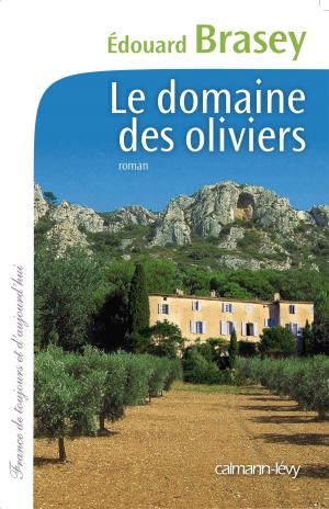Cover of the book Le Domaine des oliviers by François Rivière