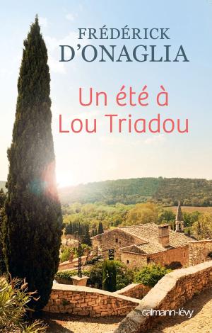 Cover of the book Un été à Lou Triadou by Jean Siccardi
