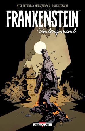 Book cover of Frankenstein underground
