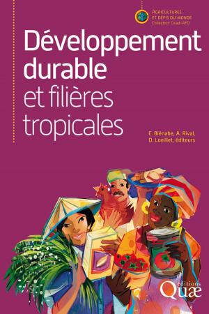 Cover of the book Développement durable et filières tropicales by Pierre Detienne