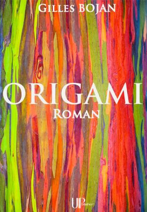 Cover of the book Origami by Montesquieu