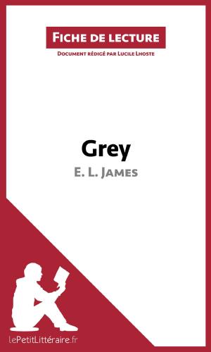 Cover of the book Grey de E. L. James (Fiche de lecture) by Lucile Lhoste, lePetitLitteraire.fr