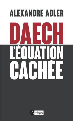Cover of the book Daech : l'équation cachée by Louis Caron