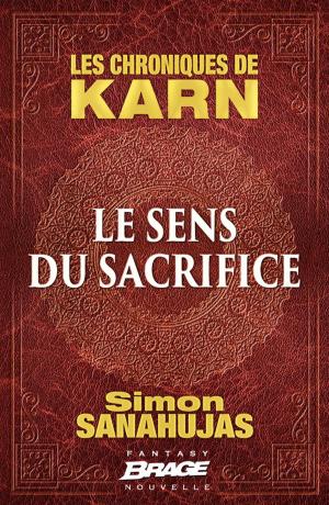 Book cover of Le Sens du sacrifice