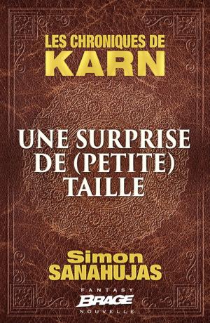 Book cover of Une surprise de (petite) taille