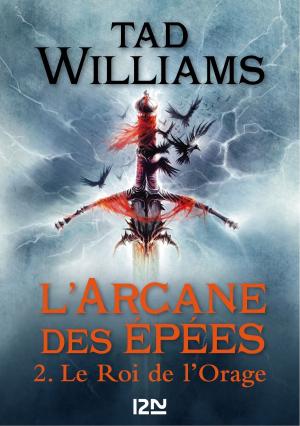 Cover of the book L'Arcane des épées - tome 2 by Michaël P. KUBE-McDOWELL