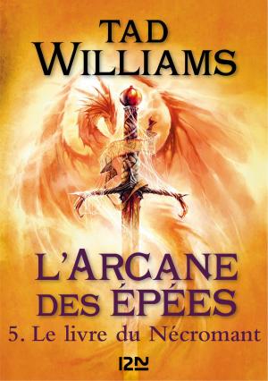 Cover of the book L'Arcane des épées - tome 5 by Laurent SCALESE