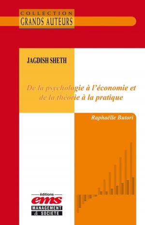 Cover of the book Jagdish Sheth - De la psychologie à l'économie et de la théorie à la pratique by Olivier Chaduteau