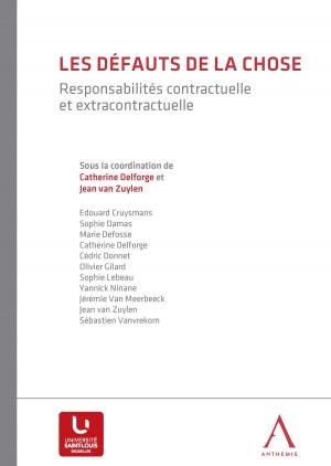 Cover of the book Les défauts de la chose by Collectif, Vanessa Franssen, Adrien Masset