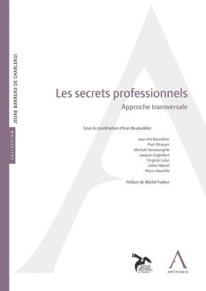 Cover of the book Les secrets professionnels by Collectif, Anthemis