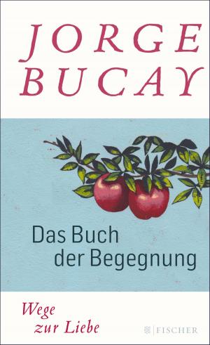 Cover of the book Das Buch der Begegnung by Robert Gernhardt