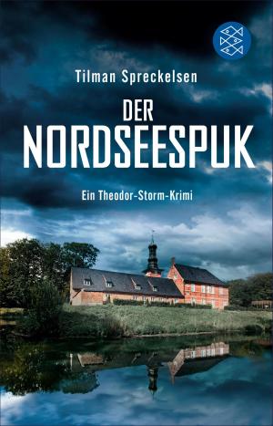 Book cover of Der Nordseespuk