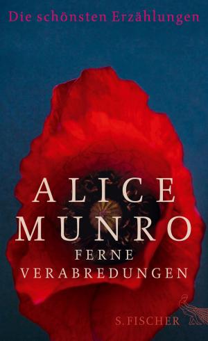 Book cover of Ferne Verabredungen