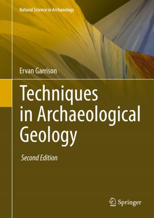 Cover of the book Techniques in Archaeological Geology by Patrícia Muniz de Medeiros, Marcelo Alves Ramos, Washington Soares Ferreira Júnior, Ulysses Paulino Albuquerque
