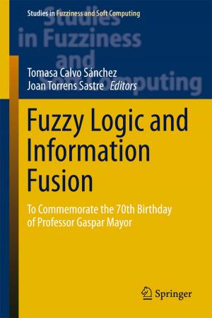 Cover of the book Fuzzy Logic and Information Fusion by Tomás Caraballo, Xiaoying Han