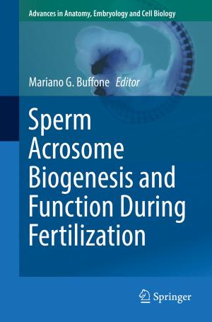 Cover of the book Sperm Acrosome Biogenesis and Function During Fertilization by Alexander Barkalov, Larysa Titarenko, Małgorzata Mazurkiewicz