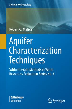 Cover of the book Aquifer Characterization Techniques by Danilo Zatta