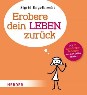 Cover of the book Erobere dein Leben zurück by Kristin Helberg