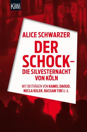 Cover of the book Der Schock - die Silvesternacht in Köln by Christine Westermann