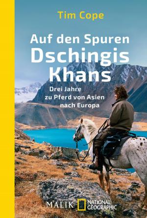 Cover of the book Auf den Spuren Dschingis Khans by Heinrich Steinfest