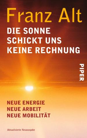 Cover of the book Die Sonne schickt uns keine Rechnung by Anita Shreve