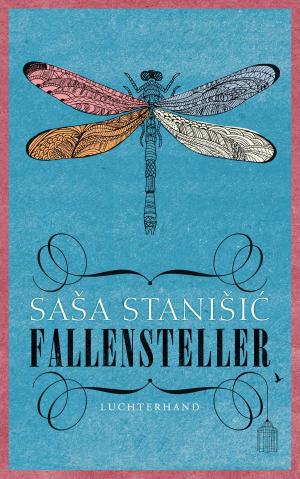 Cover of the book Fallensteller by Elizabeth Strout