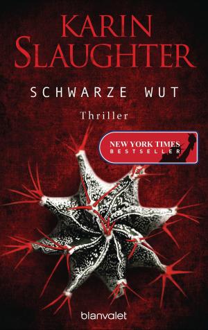 Book cover of Schwarze Wut