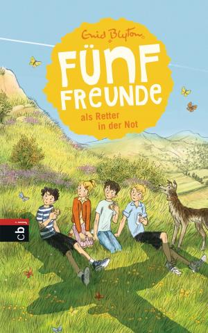 Cover of the book Fünf Freunde als Retter in der Not by Peter Jay Black
