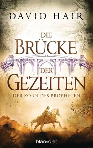 Book cover of Die Brücke der Gezeiten 5