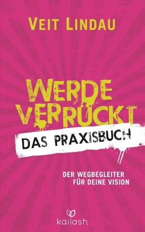 Book cover of Werde verrückt – Das Praxisbuch
