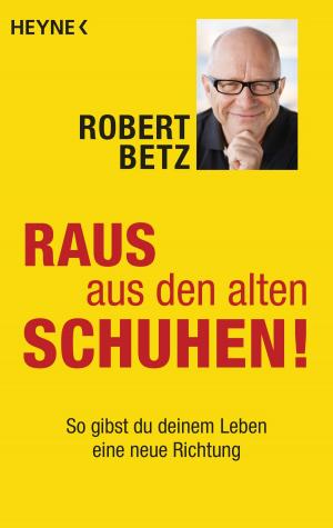 Cover of the book Raus aus den alten Schuhen! by Dennis L. McKiernan, Joern Rauser