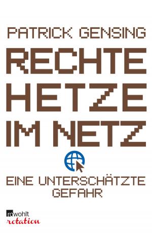 Cover of the book Rechte Hetze im Netz - eine unterschätzte Gefahr by Katrin Seddig