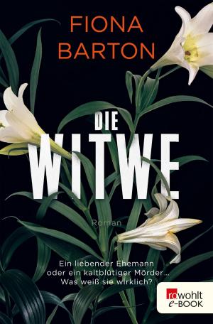 Cover of the book Die Witwe by Christian Schüle