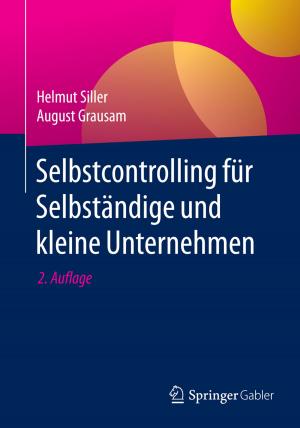 Cover of the book Selbstcontrolling für Selbständige und kleine Unternehmen by Evi Hartmann